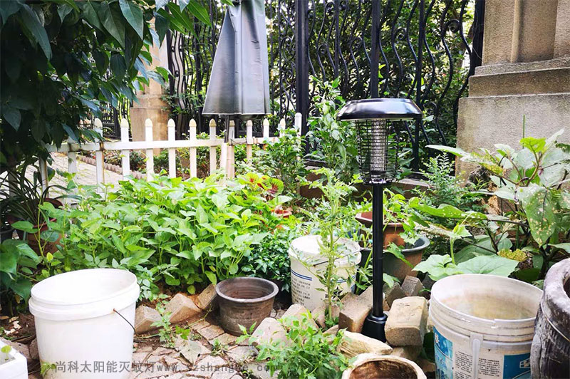 戶外滅蚊親測：滅蚊燈效果怎么樣？到底有用嗎