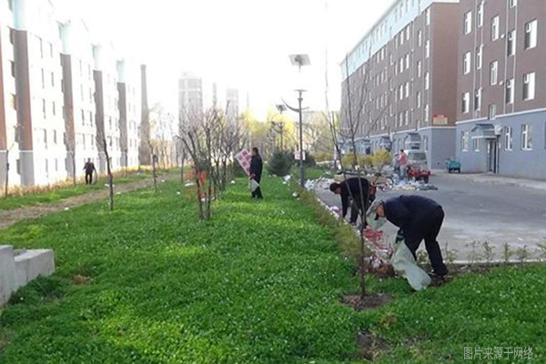 物業組織清理小區綠化帶垃圾 物業組織清理小區綠化帶垃圾