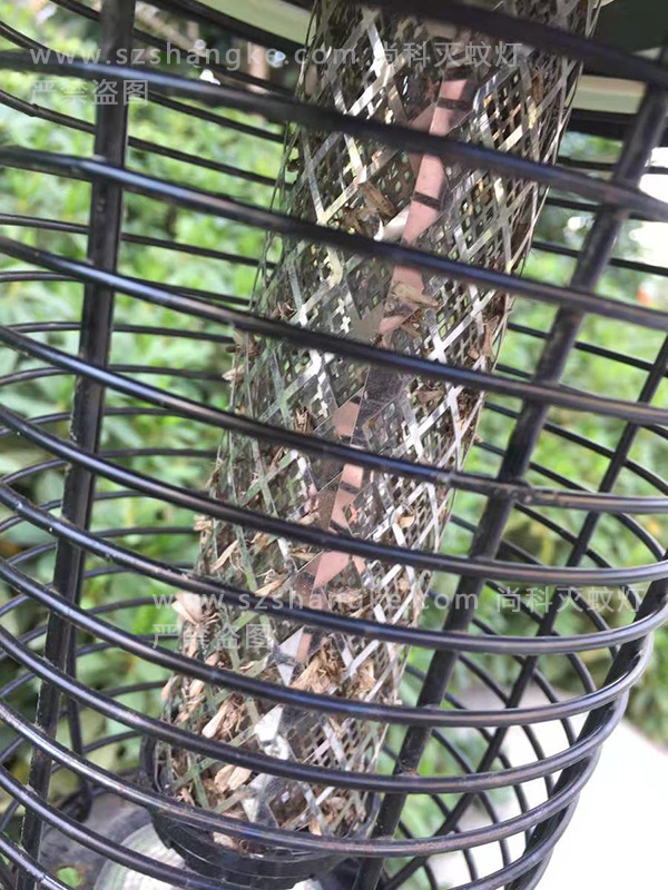 天熱了蚊子來了，別墅庭院太陽能滅蚊燈