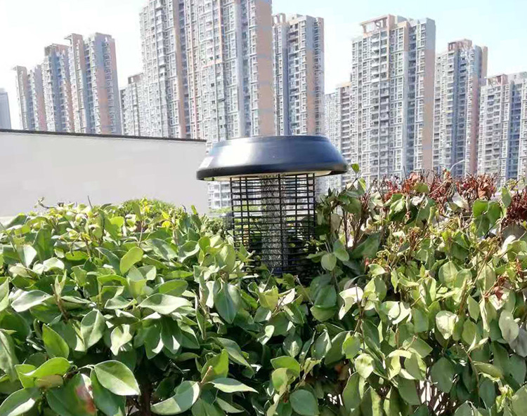 太陽能滅蚊燈的安裝步驟與使用方法