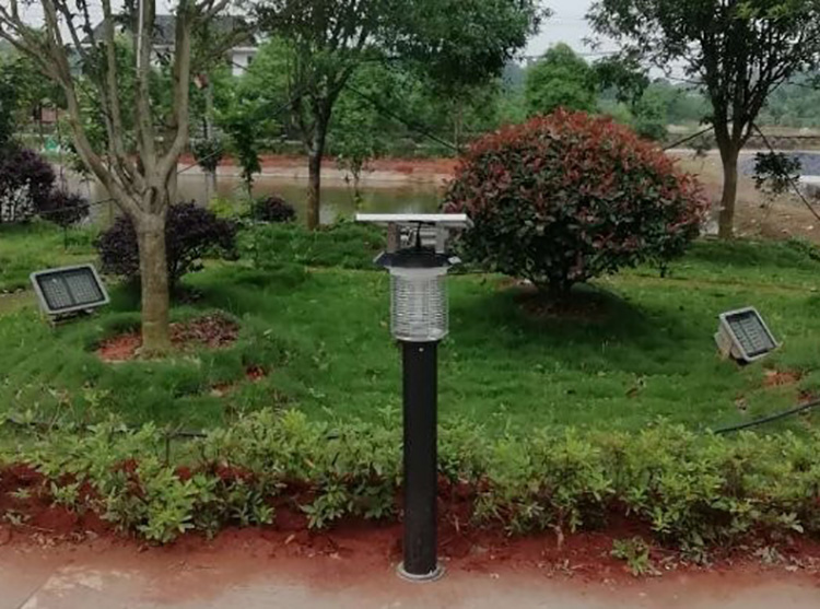 自動滅蚊器哪一種好用，功能和安全哪個重要